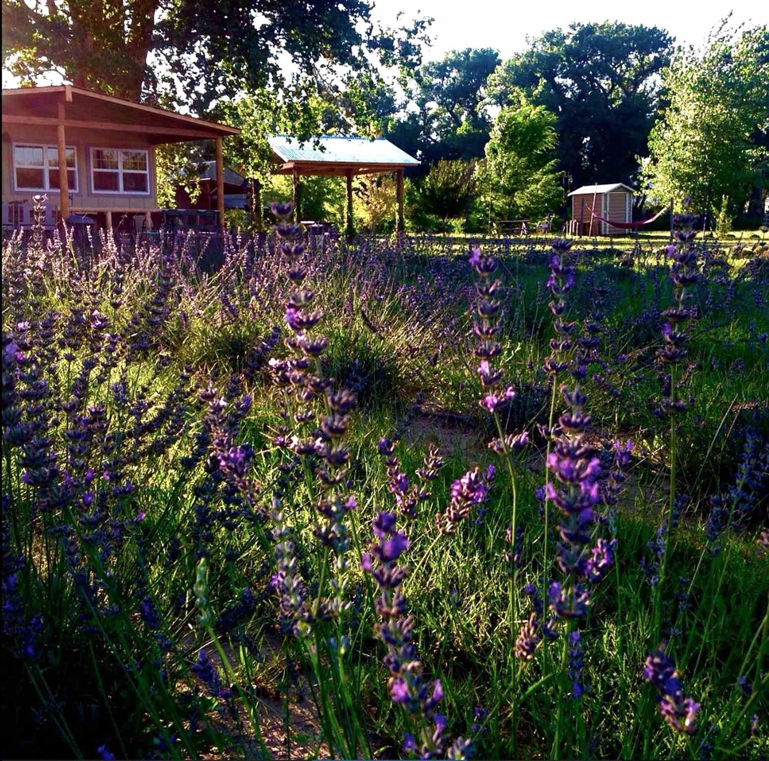 c6d433b6c227159249c9c2ba8c8e22a5l-m348947934od-w1024_h768_x2 c6d433b6c227159249c9c2ba8c8e22a5l-m348947934od-w1024_h768_x2